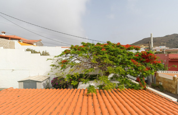 Venta - Casas o chalets - Las Palmas de Gran Canaria - EL LAGAR