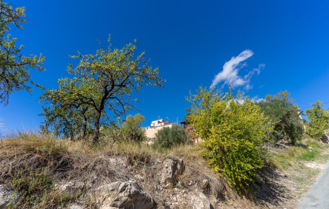 Venta - Casas o chalets - Fortuna - CORRO DE LOS CA