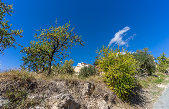 Venta - Casas o chalets - Fortuna - CORRO DE LOS CA