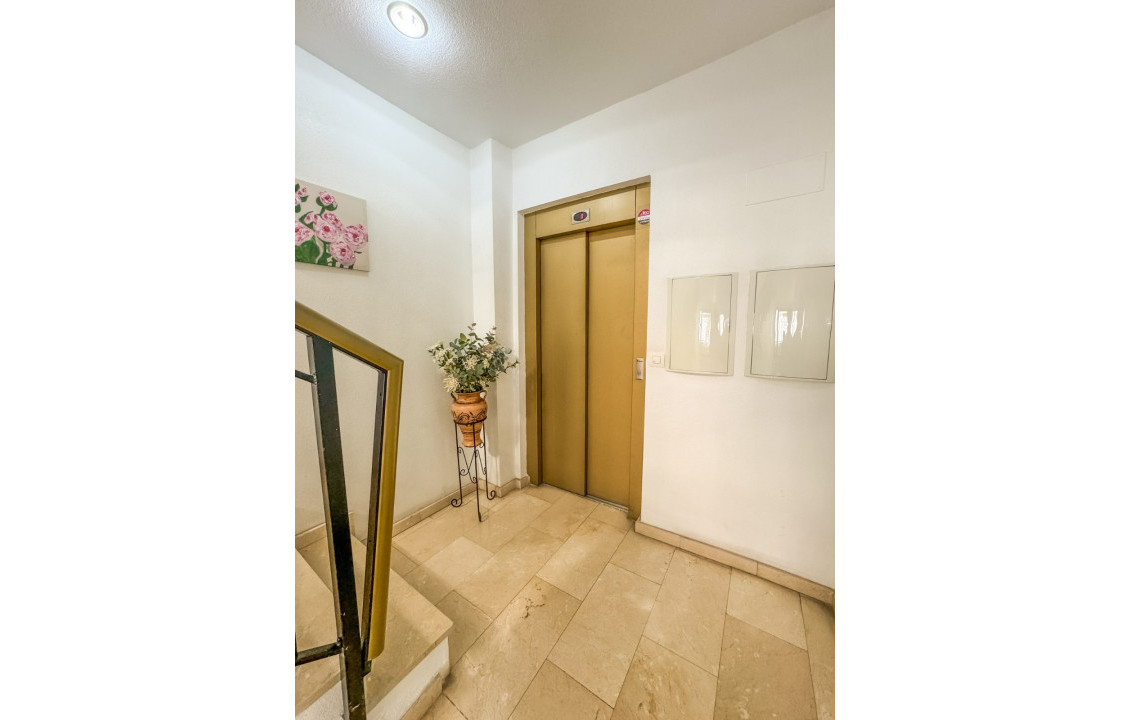 Long Rental Period - Apartment - Elche - Sector Quinto