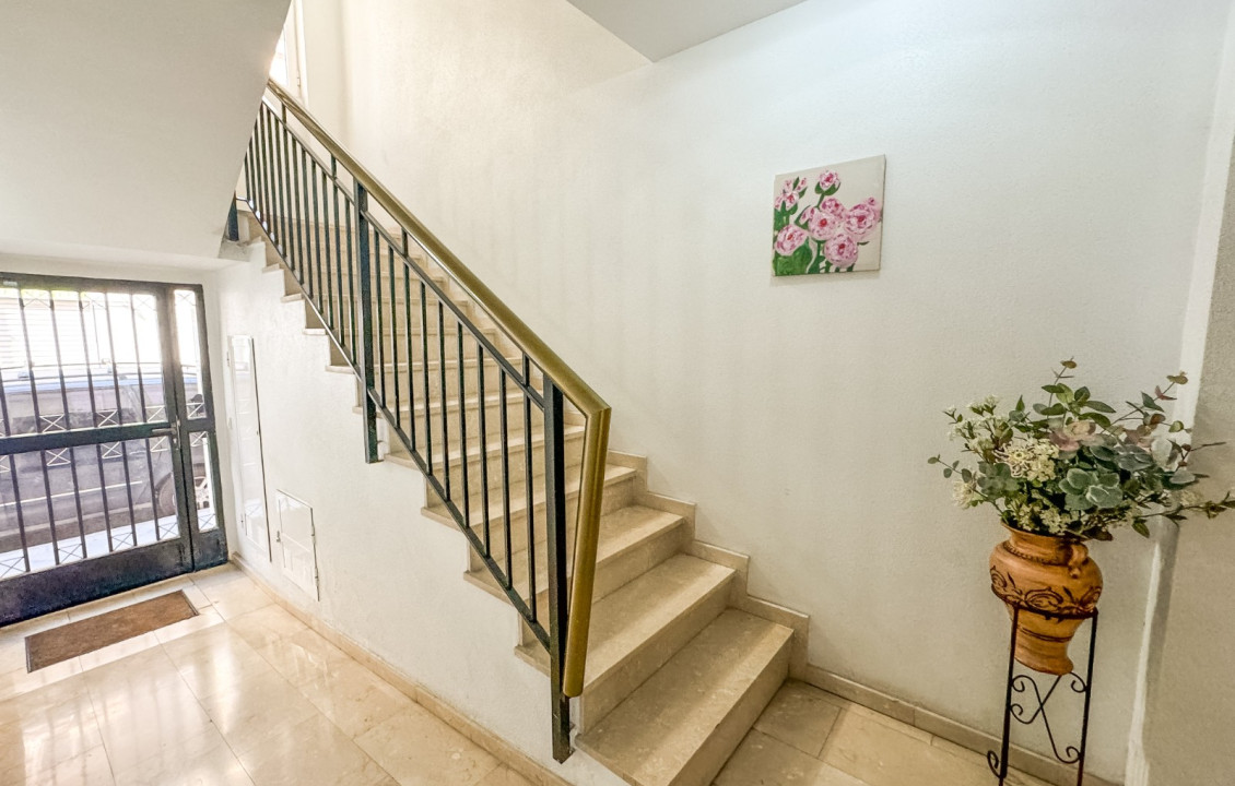 Long Rental Period - Apartment - Elche - Sector Quinto