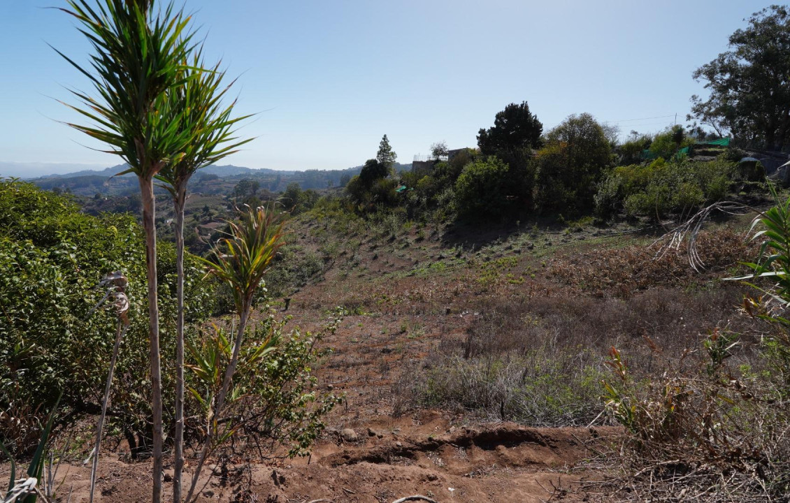 For Sale - Casas o chalets - Santa María de Guía de Gran Canaria - BARRANCO DE PINAR