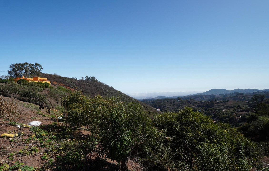 For Sale - Casas o chalets - Santa María de Guía de Gran Canaria - BARRANCO DE PINAR