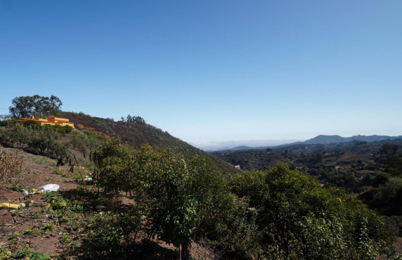 For Sale - Casas o chalets - Santa María de Guía de Gran Canaria - BARRANCO DE PINAR