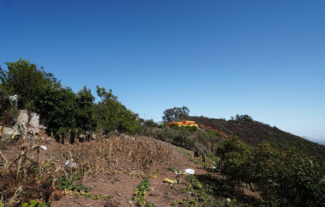 For Sale - Casas o chalets - Santa María de Guía de Gran Canaria - BARRANCO DE PINAR