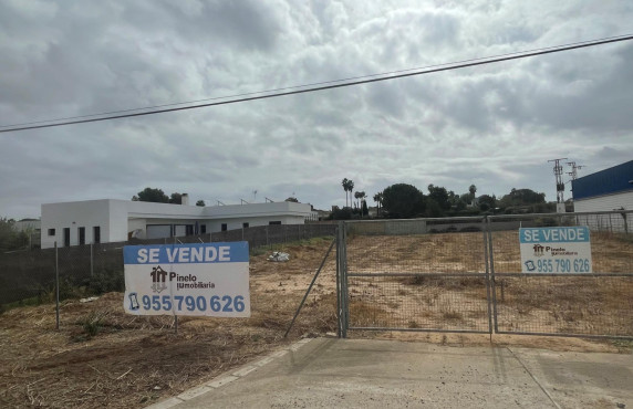 For Sale - Fincas y solares - La Rinconada - Carretera Sevilla-Brenes