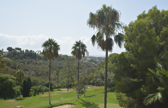 Venta - Pisos - Elviria - Avenida de las Cumbres