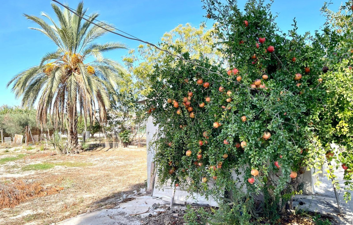 Venta - Casas o chalets - Molina de Segura - Pago del Alborche