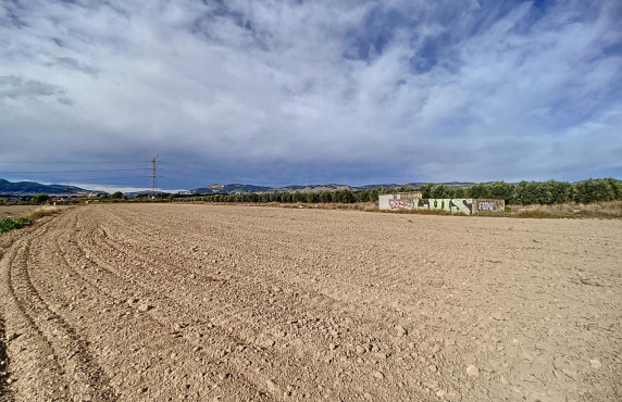 For Sale - Fincas y solares - Ibi - Polígono 11 Parcela 86 ALFAS. IBI (ALICANTE)