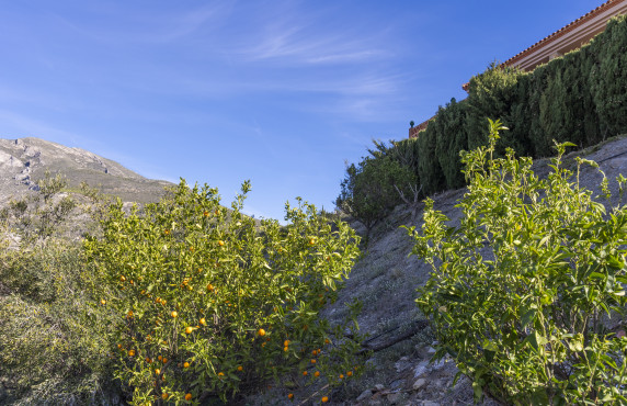 Venta - Casas o chalets - Jete - paraje cuesta itrabo