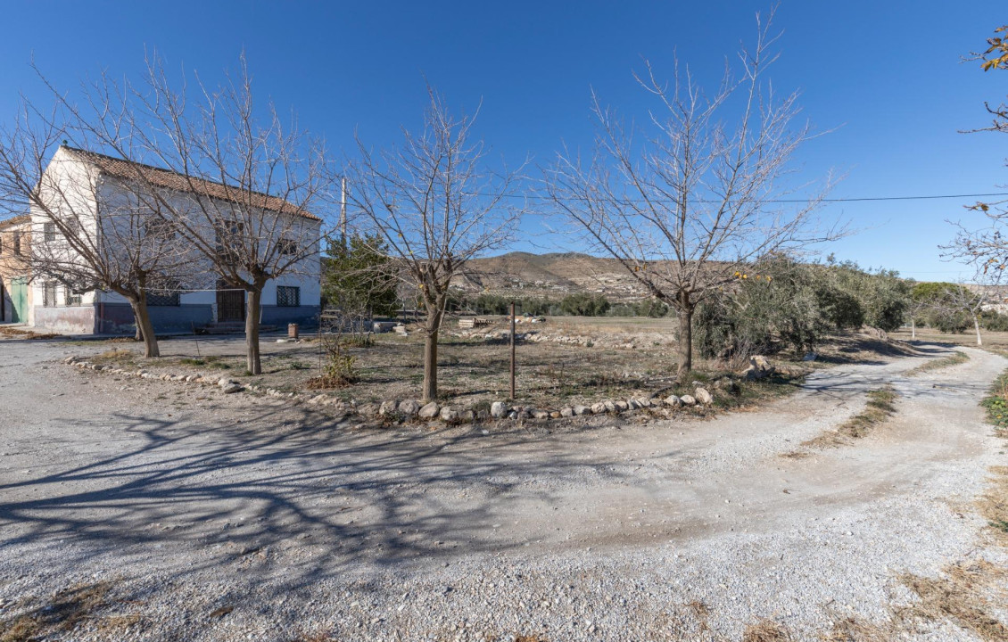 For Sale - Fincas y solares - Baza - Paraje Zoaime