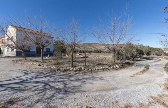 For Sale - Fincas y solares - Baza - Paraje Zoaime