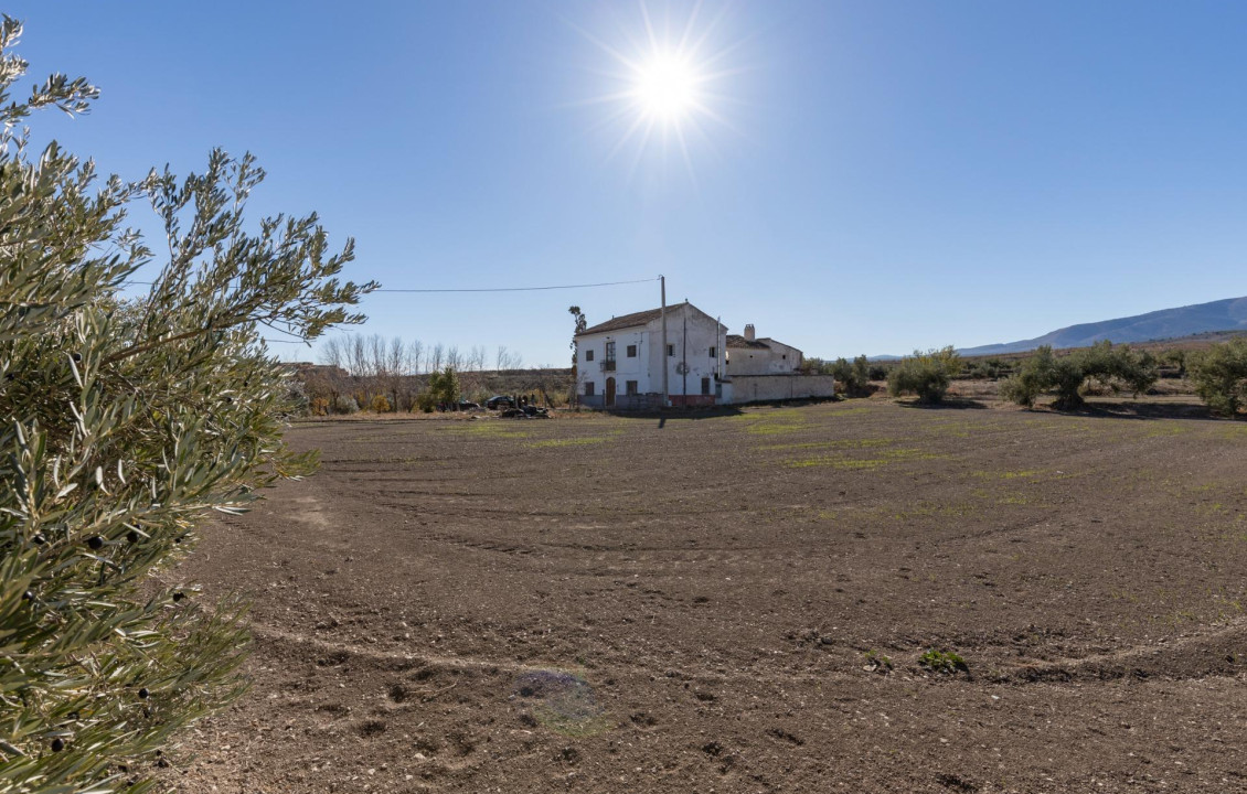 For Sale - Fincas y solares - Baza - Paraje Zoaime