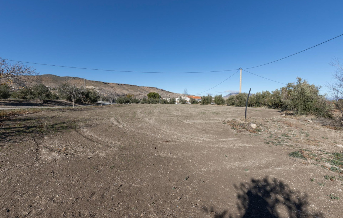 For Sale - Fincas y solares - Baza - Paraje Zoaime