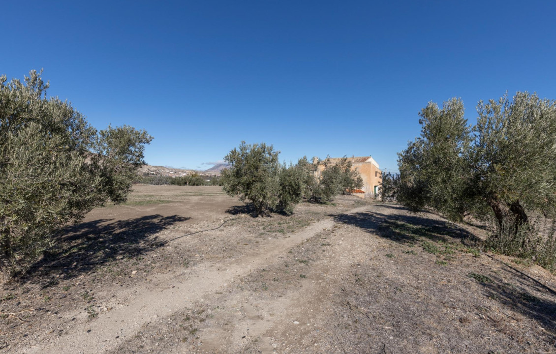 For Sale - Fincas y solares - Baza - Paraje Zoaime