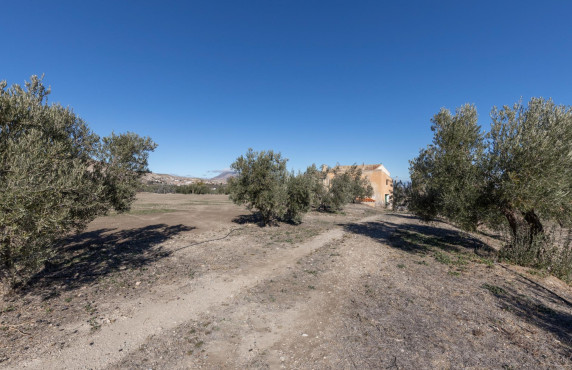 For Sale - Fincas y solares - Baza - Paraje Zoaime