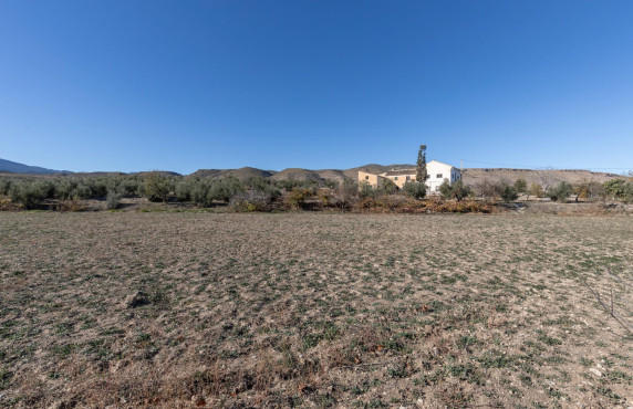 For Sale - Fincas y solares - Baza - Paraje Zoaime