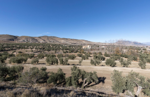 For Sale - Fincas y solares - Baza - Paraje Zoaime