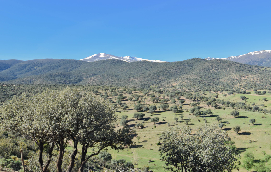 For Sale - Fincas y solares - Lugros - Paraje Cerrillo de las perdices