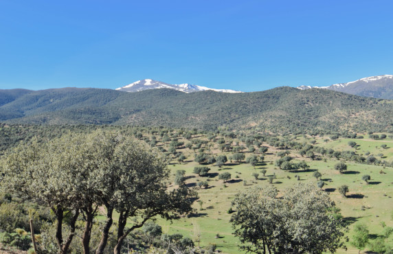 For Sale - Fincas y solares - Lugros - Paraje Cerrillo de las perdices