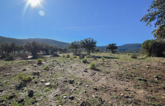 For Sale - Fincas y solares - Lugros - Paraje Cerrillo de las perdices