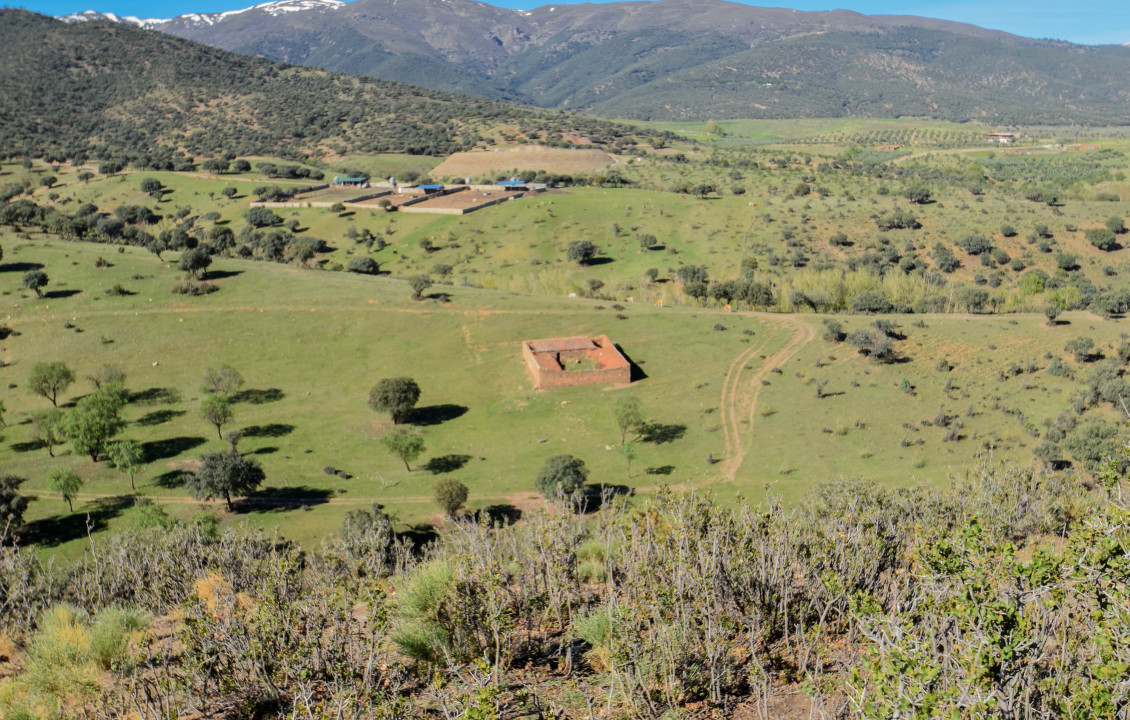 For Sale - Fincas y solares - Lugros - Paraje Cerrillo de las perdices