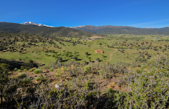 For Sale - Fincas y solares - Lugros - Paraje Cerrillo de las perdices