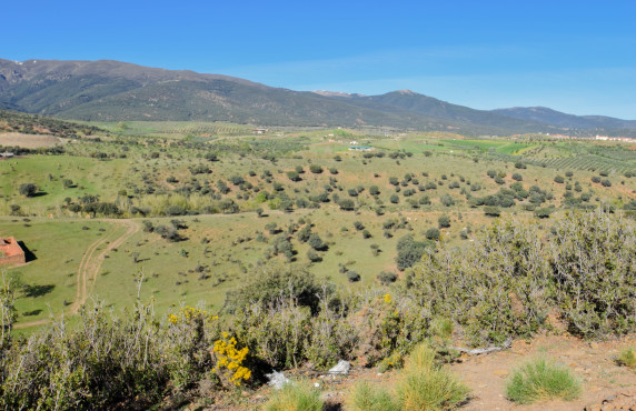 For Sale - Fincas y solares - Lugros - Paraje Cerrillo de las perdices