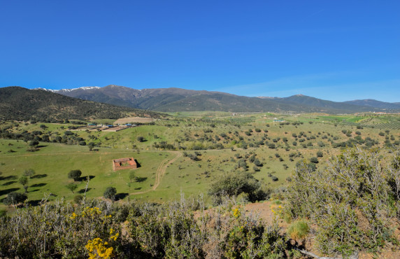 For Sale - Fincas y solares - Lugros - Paraje Cerrillo de las perdices