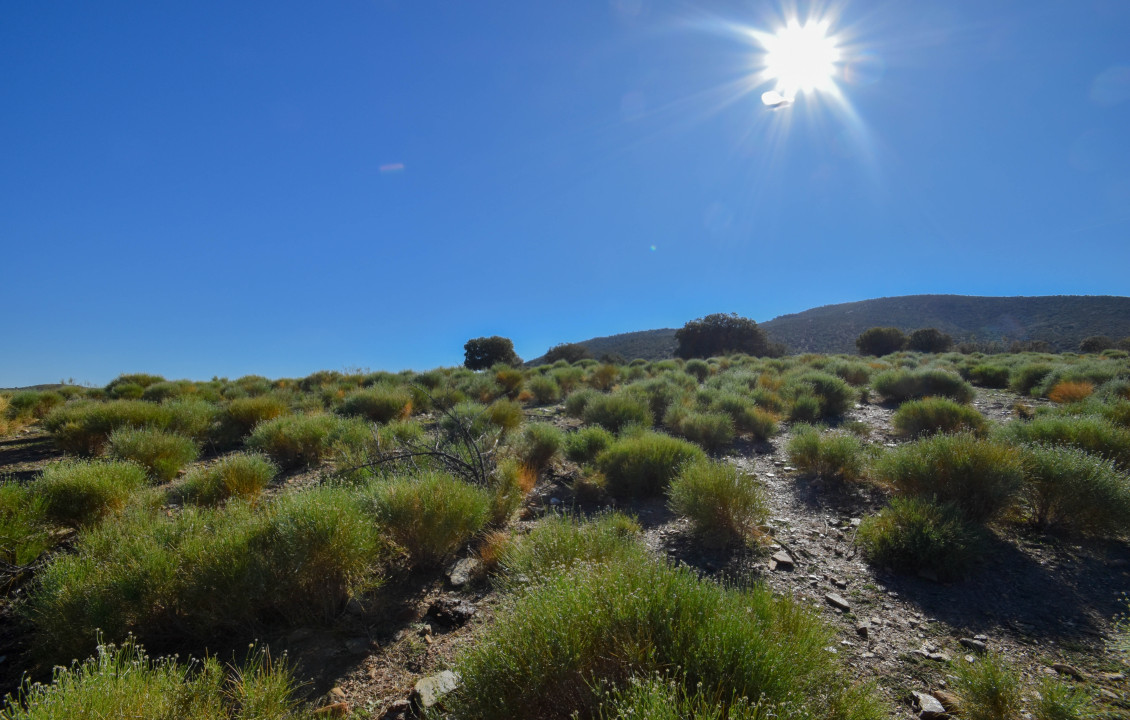 For Sale - Fincas y solares - Lugros - Paraje Cerrillo de las perdices