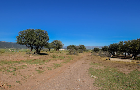 For Sale - Fincas y solares - Lugros - Paraje Cerrillo de las perdices