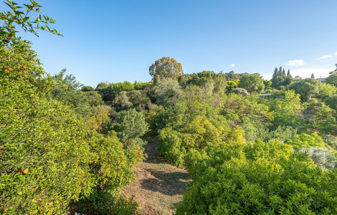 Venta - Casas o chalets - Coín - VALDEPERALES