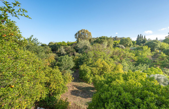 Venta - Casas o chalets - Coín - VALDEPERALES