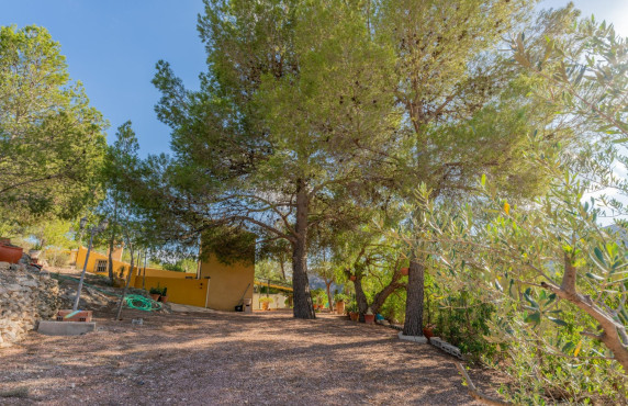 Venta - Casas o chalets - Monóvar - ROMANETA LA, 35