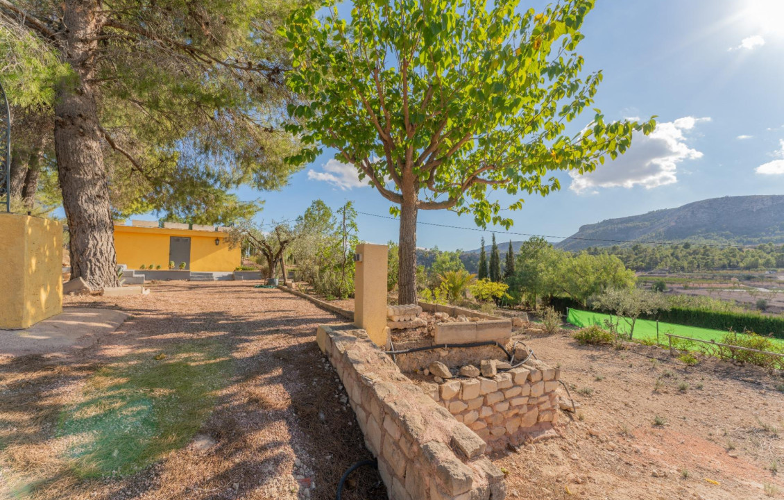 Venta - Casas o chalets - Monóvar - ROMANETA LA, 35