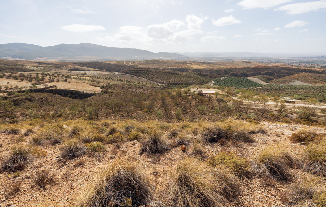 Venta - Fincas y solares - Gójar - Polígono 3 Parcela 50 ZORRERAS