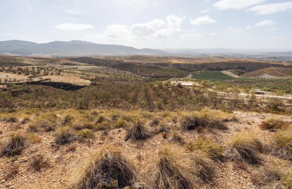 Venta - Fincas y solares - Gójar - Polígono 3 Parcela 50 ZORRERAS