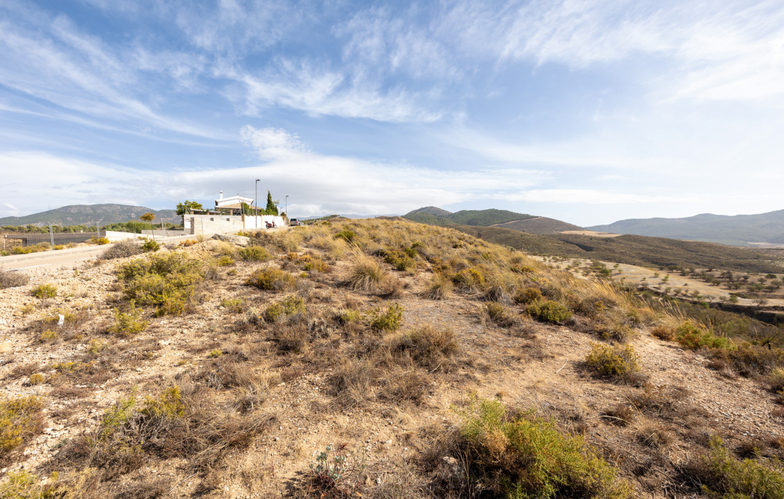 Venta - Fincas y solares - Gójar - Polígono 3 Parcela 50 ZORRERAS