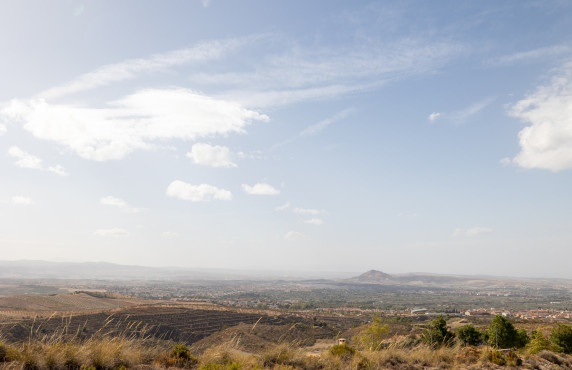 Venta - Fincas y solares - Gójar - Polígono 3 Parcela 50 ZORRERAS