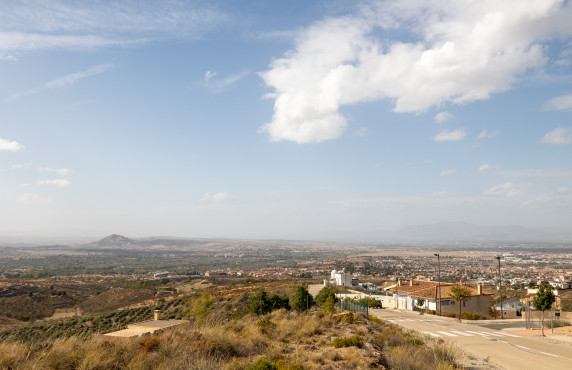 Venta - Fincas y solares - Gójar - Polígono 3 Parcela 50 ZORRERAS