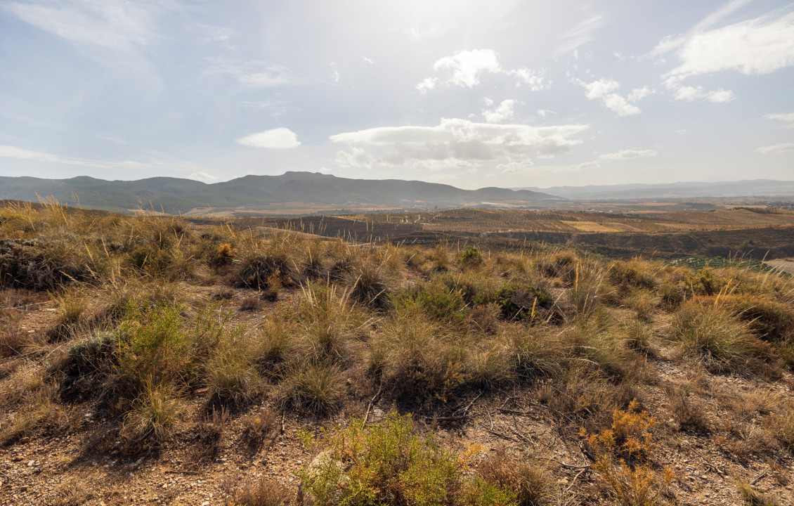 Venta - Fincas y solares - Gójar - Polígono 3 Parcela 50 ZORRERAS