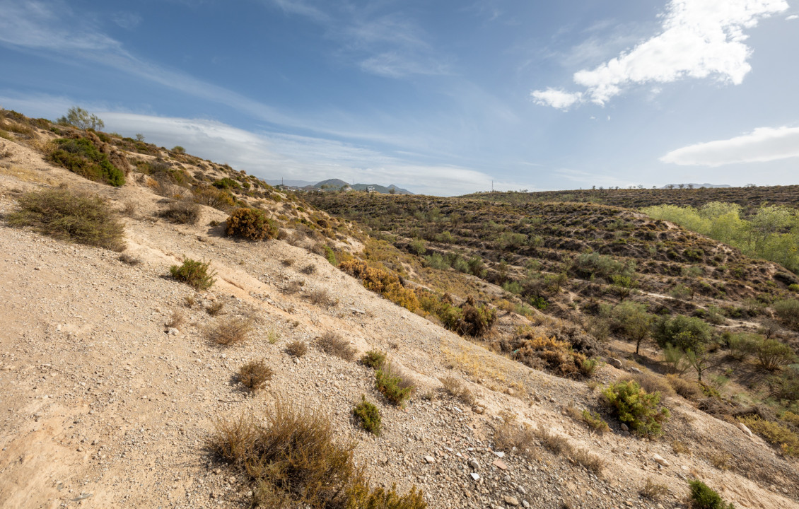 Venta - Fincas y solares - Gójar - Polígono 3 Parcela 50 ZORRERAS