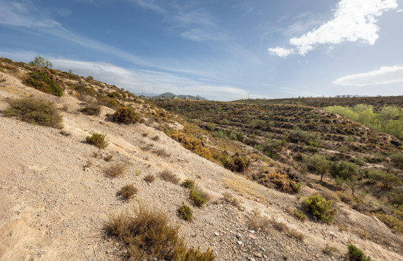 Venta - Fincas y solares - Gójar - Polígono 3 Parcela 50 ZORRERAS