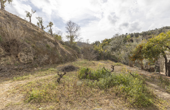 Venta - Naves - El Valle - Poligono 3, Parcela 155