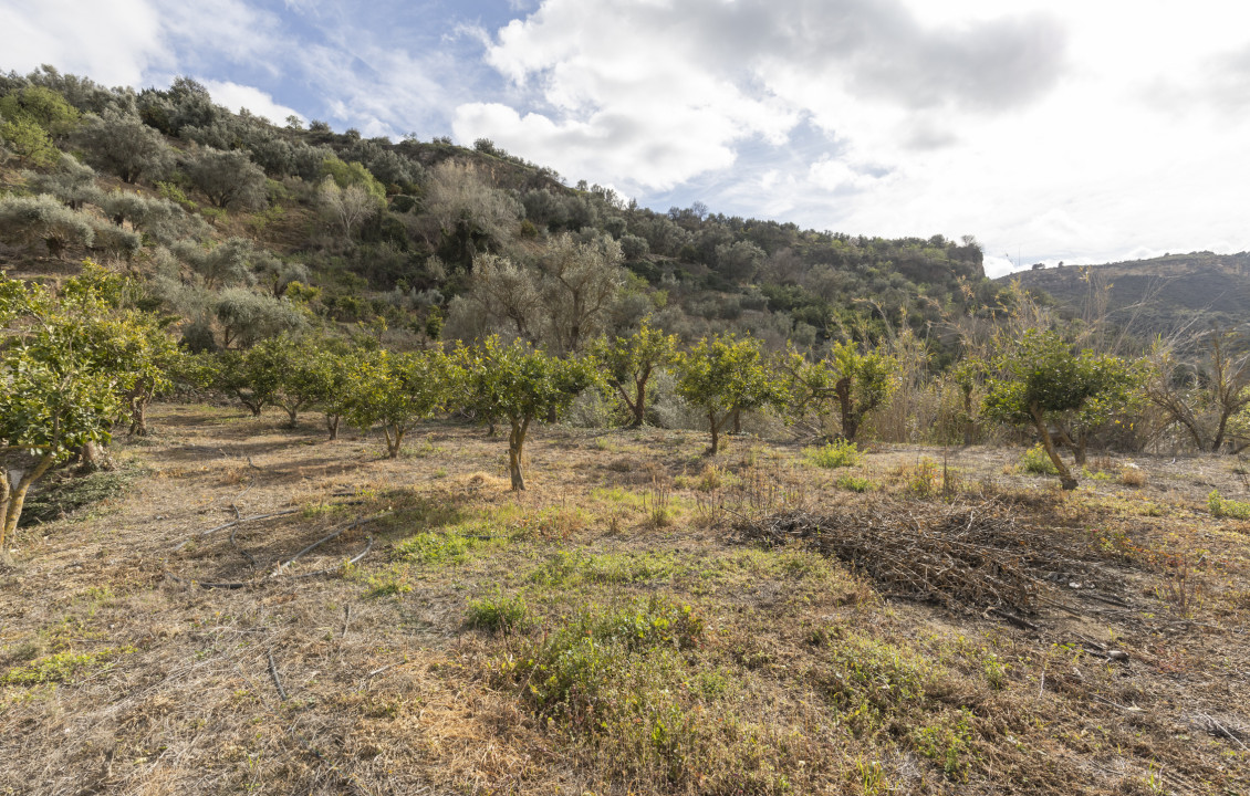 Venta - Naves - El Valle - Poligono 3, Parcela 155