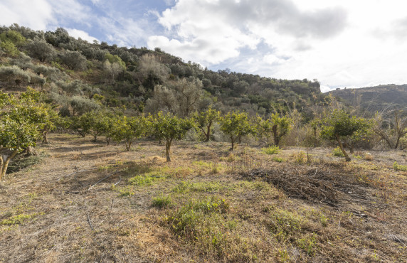 Venta - Naves - El Valle - Poligono 3, Parcela 155