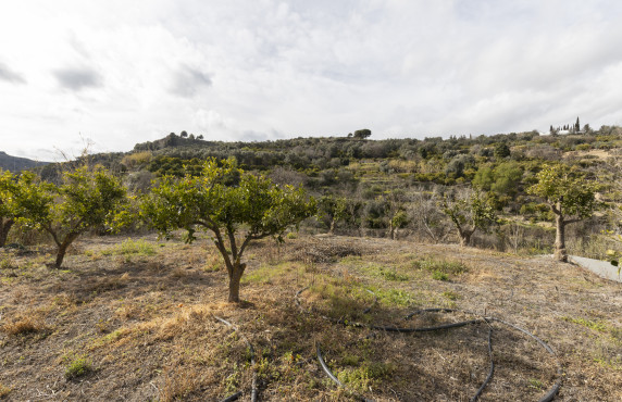 Venta - Naves - El Valle - Poligono 3, Parcela 155