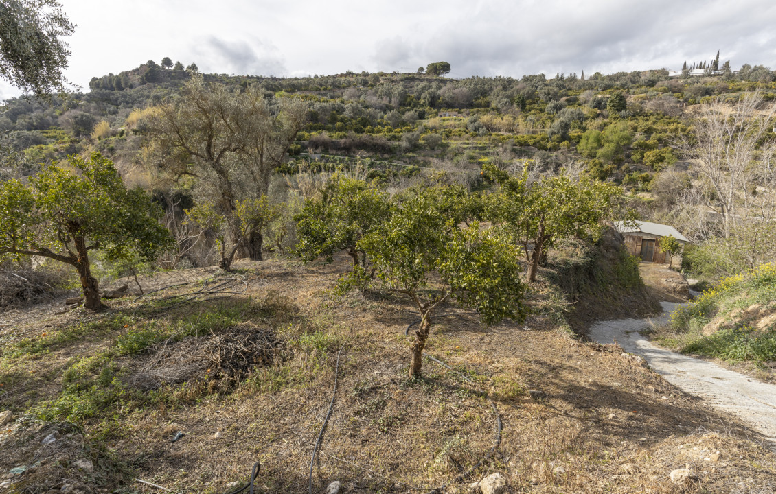 Venta - Naves - El Valle - Poligono 3, Parcela 155