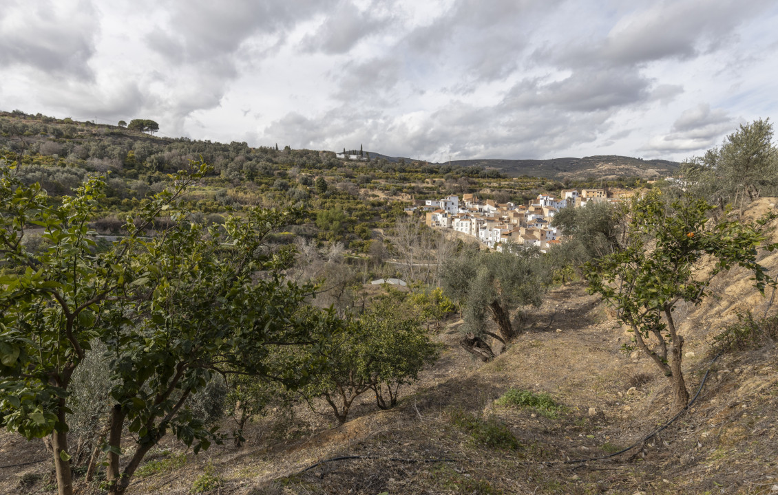 Venta - Naves - El Valle - Poligono 3, Parcela 155