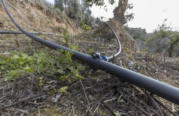 Venta - Naves - El Valle - Poligono 3, Parcela 155